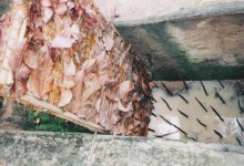 VIETNAM IMPRESSIONS 11 DAYS 10 NIGHTS from 627 USD/person only